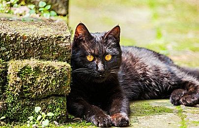 EA辟谣《死亡空间2：重制版》被取消：传言毫无根据